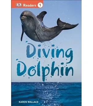 Diving Dolphin