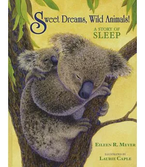 Sweet Dreams, Wild Animals!: A Story of Sleep