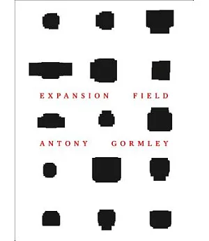 Antony Gormley: Expansion Field