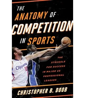 The Anatomy of Competition in Sports: The Struggle for Success in Major US Professional Leagues