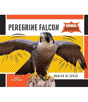 Peregrine Falcon: Master of Speed