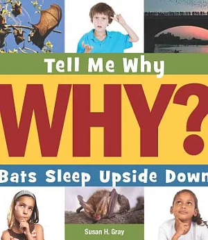 Bats Sleep Upside Down