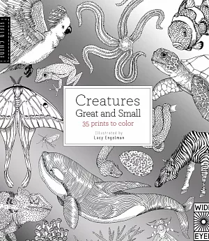 Field Guide: Creatures Great and Small