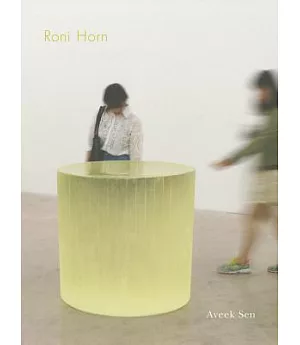 Roni Horn: The Sensation of Sadness at Having Slept Through a Shower of Meteors