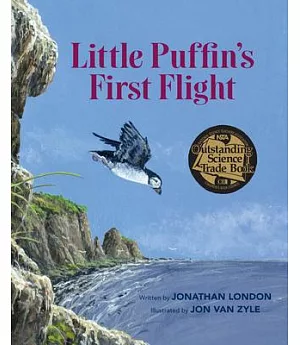 Little Puffin’s First Flight