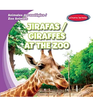 Jirafas / Giraffes at the Zoo