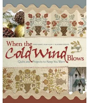 When the Cold Wind Blows: Quilts and Projects to Keep You Warm