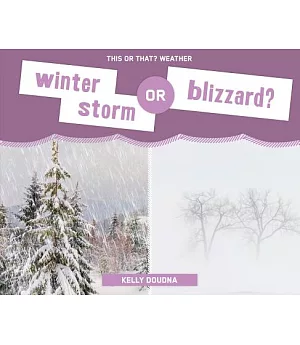 Winter Storm or Blizzard?