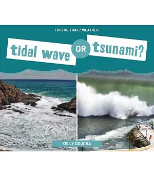 Tidal Wave or Tsunami?