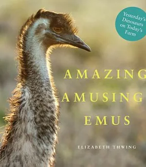 Amazing Amusing Emus: Yesterday’s Dinosaurs on Today’s Farm