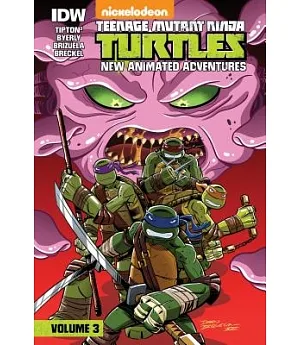 Teenage Mutant Ninja Turtles: New Animated Adventures: Volume 3: New Animated Adventures