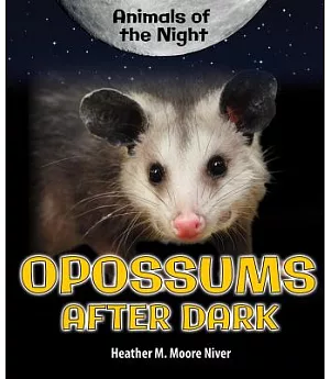 Opossums After Dark