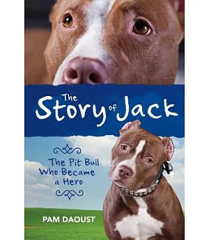 The Story of Jack: The Pit Bull Who Became a Hero
