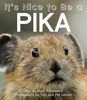 It’s Nice to Be a Pika