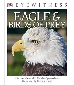 Eagles & Birds of Prey