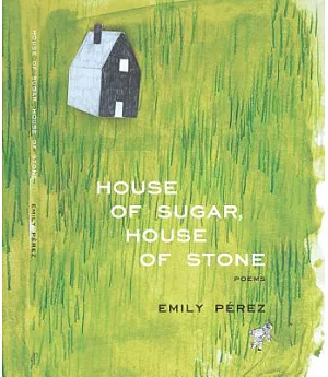 House of Sugar, House of Stone: Poems