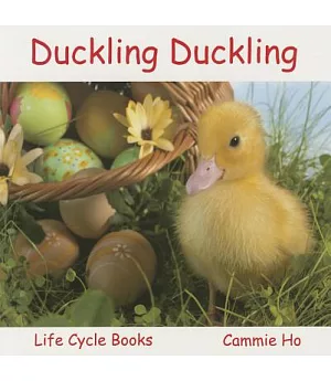Duckling Duckling