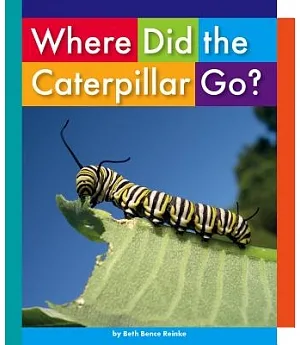 Where Did the Caterpillar Go?