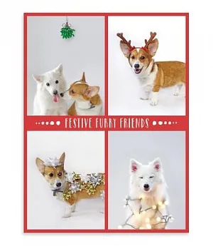 Festive Furry Friends Deluxe Holiday Notecards