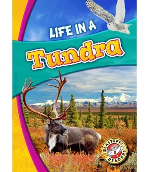 Life in a Tundra