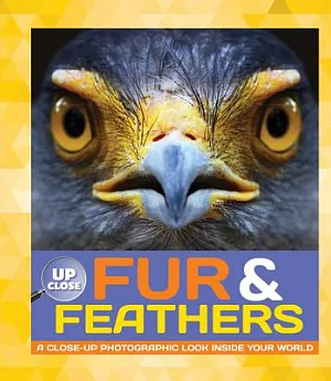 Fur & Feathers: A Close-up Photographic Look Inside Your World
