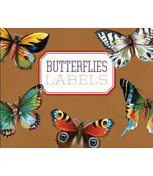 Butterfly Box Sticker Box