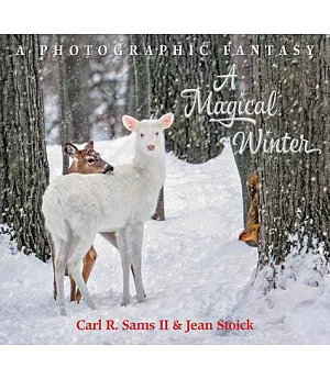 A Magical Winter: A Photographic Fantasy