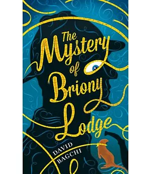 The Mystery of Briony Lodge