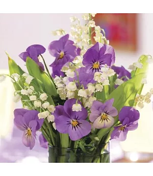 Memo Block - Purple Viola