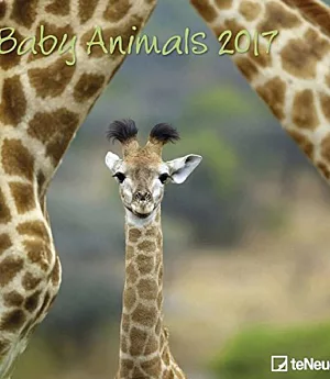 Baby Animals 2017 Calendar