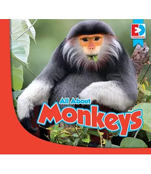 All About Monkeys