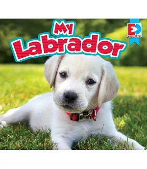 My Labrador
