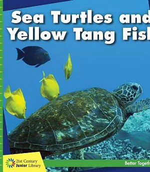 Sea Turtles and Yellow Tang Fish