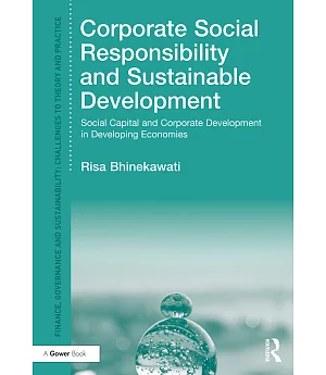 Corporate Social Responsibility and Sustainable Development: Social Capital and Corporate Development in Developing Economies