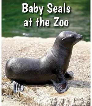 Baby Seals at the Zoo