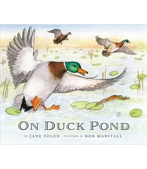 On Duck Pond