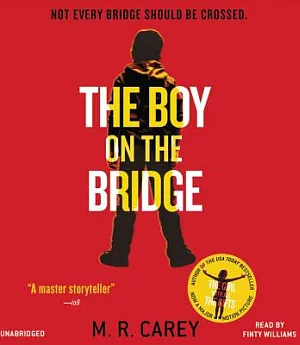 The Boy on the Bridge: Library Edition