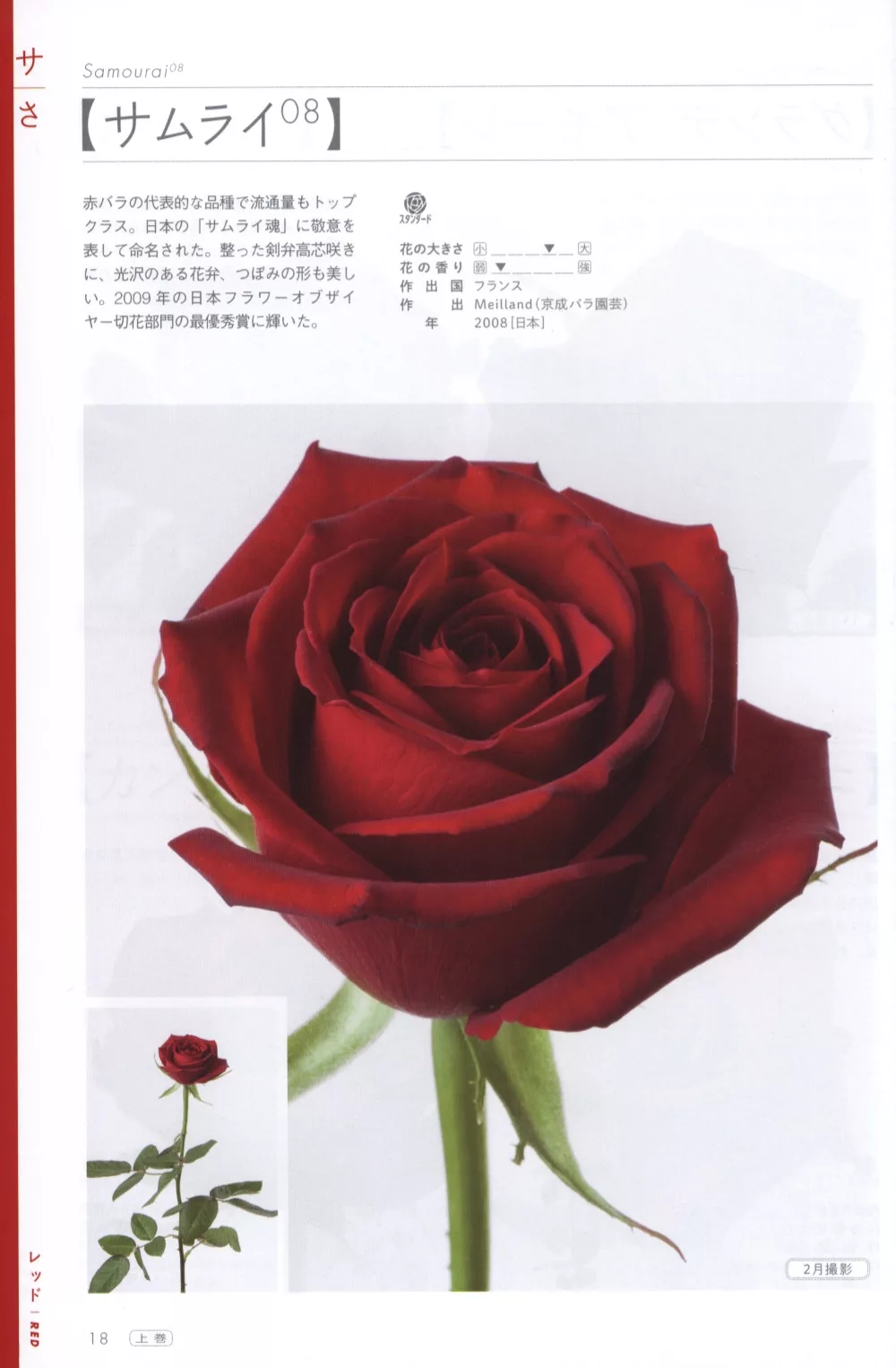 玫瑰薔薇圖鑑1000 上卷 526品種 買書網