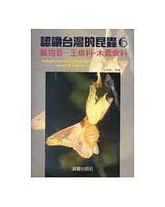 認識台灣的昆虫(6):鱗翅目-王蛾科、木蠶蛾科