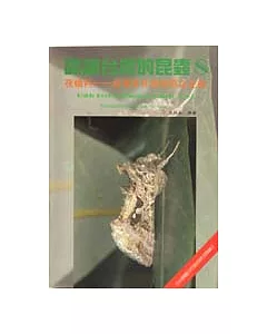 認識台灣的昆虫(8):夜蛾科-台灣及其他地區之比較