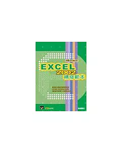 Excel 2002 精修範本