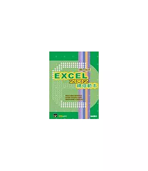 Excel 2002 精修範本