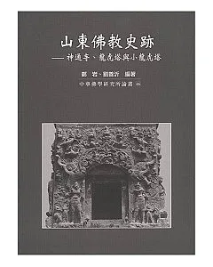山東佛教史跡-神通寺、龍虎塔