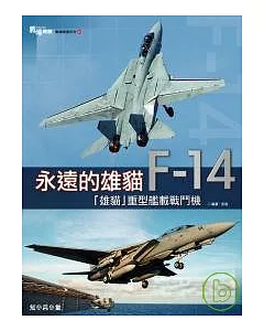 永遠的雄貓 F-14