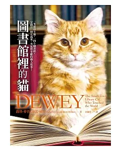 圖書館裡的貓
