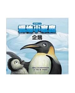 極地小家庭—企鵝