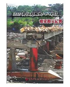 2009莫拉克颱風八八水災橋梁道路勘災紀實