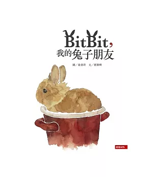 Bitbit，我的兔子朋友