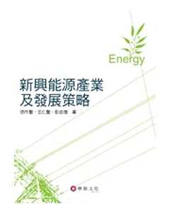新興能源產業及發展策略