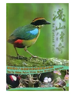 淺山傳奇：雲林湖本八色鳥野生動物重要棲息環境(光碟)
